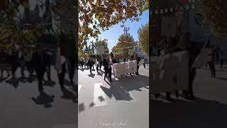 Tlemcen  Festivités à loccasion du 70ème anniversaire de la Révolution [upl. by Rurik935]