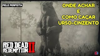 MÉTODO INFALÍVEL PARA CAÇAR URSOCINZENTO  RED DEAD REDEMPTION 2 Guia Completo [upl. by Nichola]