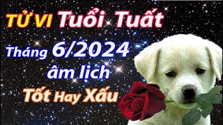 Tử vi tuổi Tuất Tháng 62024 âm lịch tốt hay xấu [upl. by Anialad]