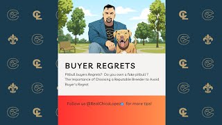 Pitbull buyers Regrets  Do You own a fake pitbull [upl. by Noisla438]