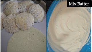 Idli Batter Recipe in Telugu  How to Make soft Idli at home  Spongy Idli preparation [upl. by Anaugahs]