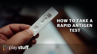 Covid19 Omicron how to properly take a rapid antigen test at home  Stuffconz [upl. by Sivrat78]