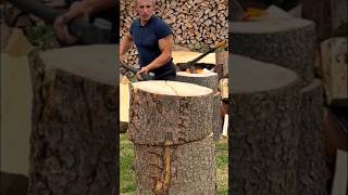 Strong hornbeam tree woodworking firewood [upl. by Donovan811]