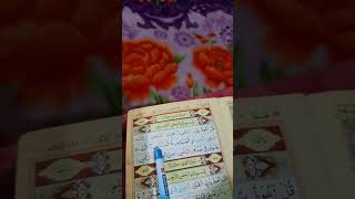 Surah nassbeautiful tilawat [upl. by Ecidna339]