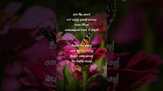 විකසිත වත කමලේ coversong wikasithawathakamale music lovestatus ruwanthakekulandara song [upl. by Earleen]