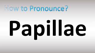 How to Pronounce Papillae [upl. by Clapper]