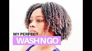 The Wash N Go Using Eco Styler Gel  How to Define Curls [upl. by Colbye367]