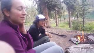 Backpacking the Sawback Trail in Banff Icefields Parkway Jasper [upl. by Mannie186]