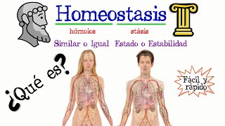 🚹 ¿Qué es la Homeostasis ✅ Fácil y Rápido  BIOLOGÍA [upl. by Taylor366]