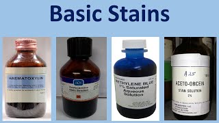 Basic Stains [upl. by Irol388]