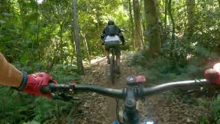 Bunya Mountains MTB trails  POV of all trails full loop [upl. by Felty767]