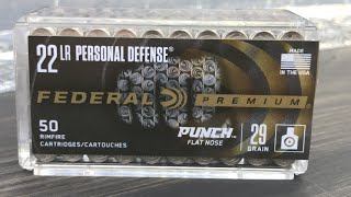 Federal Punch 22LRGel Test and Velocity ComparisonPistol vs Rifle [upl. by Namajneb]