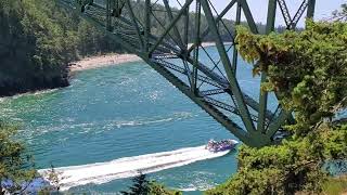 Boating During Tide Rushing In Deception Pass Bridge Washington State Route 20 Whidbey Island [upl. by Ymme]