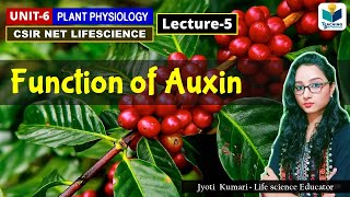 FUNCTIONS OF AUXIN  PHYTOHORMONE PART5 CSIR NET PLANT BIOLOGY [upl. by Natie]