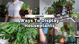 Upgrade Your Home with THESE Indoor Plant Display Tricks [upl. by Chappy649]