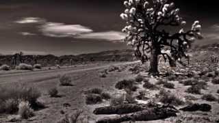 Death Valley National Park in Photos  Ron Douros [upl. by Clementis]