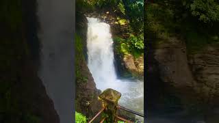 Waterfall GOA goa waterfall india slowmotion beautifulnature respectnature incredibleindia [upl. by Akisej899]