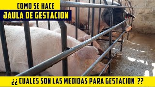 Como Hacer Una Jaula De Gestacion Para Cerdas Y Cuales Son Las Medidas Y Materiales [upl. by Leak]