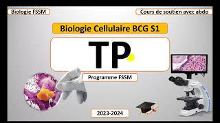 Biologie Cellulaire BCG S1  Partie Travaux Pratique TP FSSM [upl. by Ennirok]