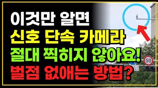 이제 이것만 알면 교통 신호 단속 카메라 찍히지 않습니다 벌점 없애는 방법 [upl. by Asirb]