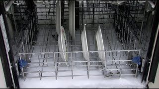 How to Remove Excess Suds From Dishwasher [upl. by Bac839]