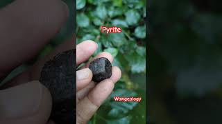 Pyrite shorts pyrite facts geology geologist youtubeshorts youtube wow crystals mineralogy [upl. by Knutson]