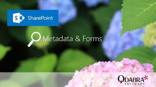 Use SharePoint Metadata in your Forms Qdabra Webinar 06082017 [upl. by Niessuh]