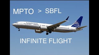 INFINITE FLIGHT EXPERT SERVER [upl. by Ellehsad297]