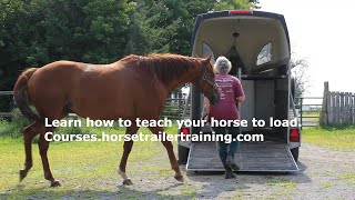 Trailer Training Anxious Thoroughbred Gelding [upl. by Lauhsoj]