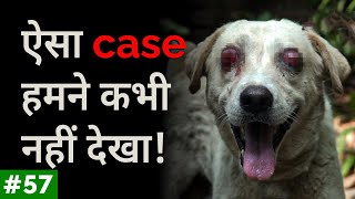 Never seen before case at Peepal Farm  ऐसा case हमने कभी नहीं देखा  Peepal Farm Update 57 [upl. by Lajib]