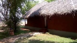 Pool Hut at Evolve Back Orange County Resorts Kabini India [upl. by Mencher]