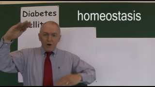 Diabetes 2 Blood Glucose Homeostasis [upl. by Gilbertina]