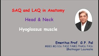 27 Hyoglossus muscle [upl. by Yalahs]