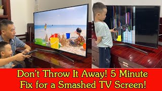 Dont Throw It Away 5 Minute Fix for a Smashed TV Screen [upl. by Anahcar]