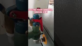 Work Video Electric Steam Generator Boiler Generadora Vapor Electrica steamboiler steamgenerator [upl. by Innavoij]