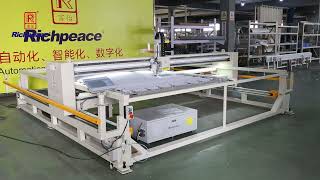 Richpeace Single Head Quilting Machine for heavy material quilting厚生地キルティング機 [upl. by Kotta]