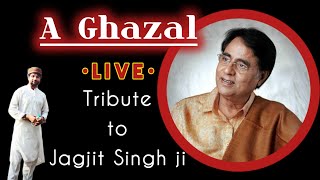 jagjit singh ghazals  tribute to jagjit singh ji trending [upl. by Anerres101]