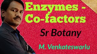 Enzymes  Cofactors  Coenzyme  Apoenzyme  Biomolecules Class 11  Sr Botany [upl. by Aleekahs]