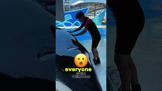 A huge dolphin caused a panic in the water park 🐬🌊 [upl. by Zaller]