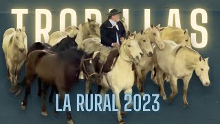 Espectáculo único  Tropillas entabladas  La Rural 2023 [upl. by Pooh]