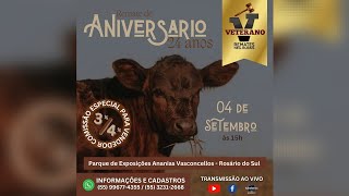 0409  Remate de Gado Geral ðŸ‚  15h [upl. by Icats]