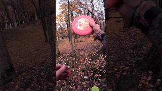 More birdie ya want more birdies ya get discgolf [upl. by Mccreary495]