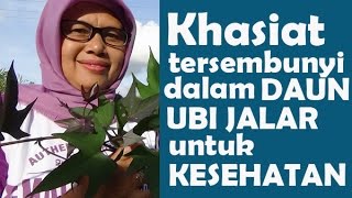 Manfaat Daun Ubi Jalar [upl. by Filahk]