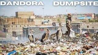 Mukuru Kwa Njenga Witnessing the Reality of Dandora Dumping Sitequot [upl. by Branen]