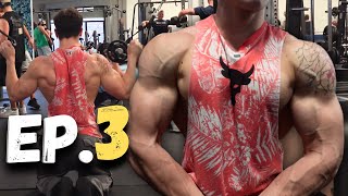 FULL BODY WORKOUT amp POSING ROUTINE a 2 weeks out  PREP SERIES EP3🥇 Shark17 [upl. by Idnahs888]