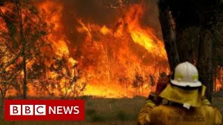 Australia fires Morrison heckled by bushfire victims  BBC News [upl. by Marylou]