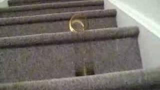 Slinky goes down the stairs [upl. by Ode]