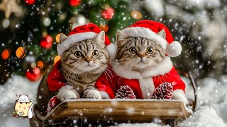 247 Extreme relaxation music for restless cats 🎄 Christmas Music for Cats Christmas Ambience [upl. by Konstantine]