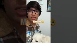 Oreo Ka Mood Off Hai 🥺 sad family vlogs oreo souravjoshivlogs [upl. by Archibold155]