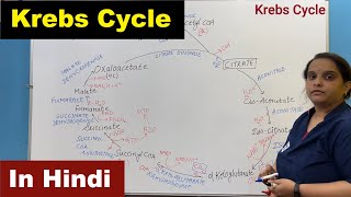 Krebs Cycle in Hindi  Citric Acid Cycle  TCA  Tricarboxylic Acid Cycle  Nursing Lecture [upl. by Tybalt928]